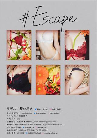 葵いぶき 画像39