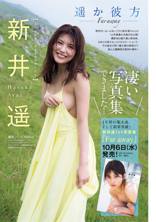 新井遙 圖片11