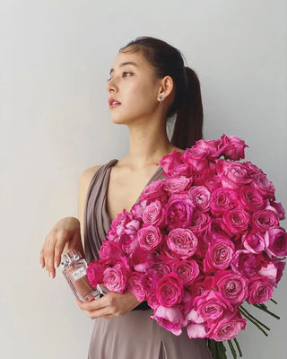 新木优子 图片56