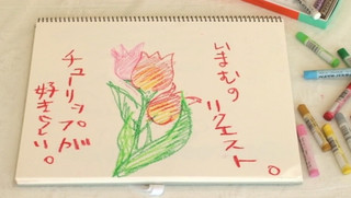 雛形あきこ 画像226