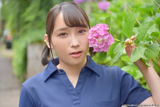 百花梅 画像176
