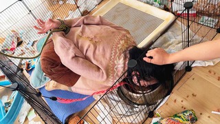 이치이 유카 이미지292
