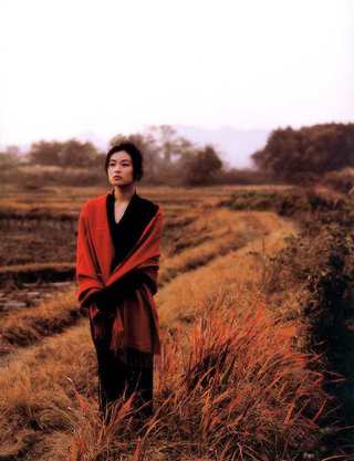 菅野美寿紀 画像3