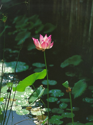 北山えり 画像69