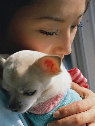 Yoko Mitsuya Photos283