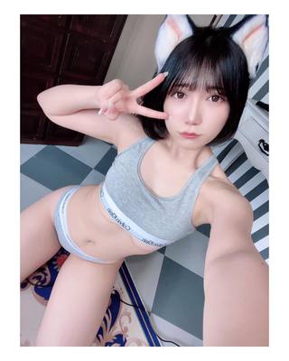 佩罗猫 图片218