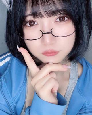 佩罗猫 图片231