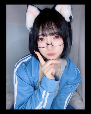 佩罗猫 图片232