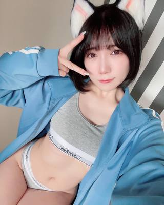 佩罗猫 图片235