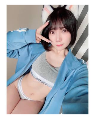 佩罗猫 图片236