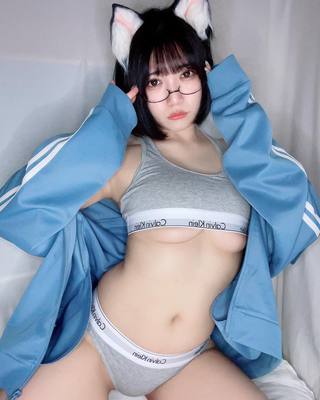 佩罗猫 图片239