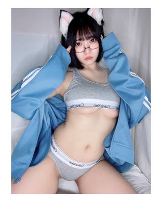 佩罗猫 图片240