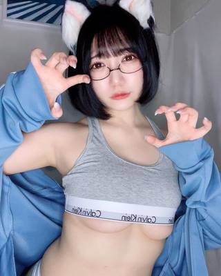 佩罗猫 图片242