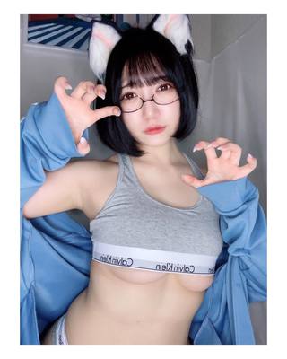 佩罗猫 图片244