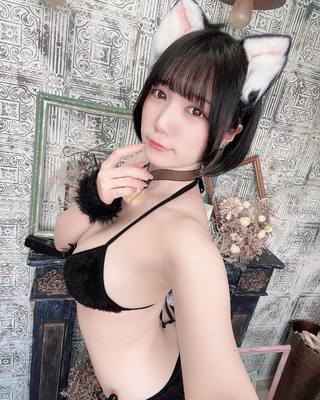 佩羅貓 圖片324