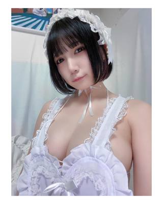 佩罗猫 图片327