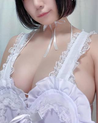 佩罗猫 图片328