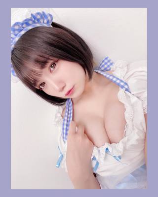 佩罗猫 图片330