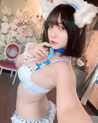 佩罗猫 图片336