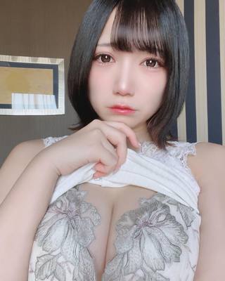 佩罗猫 图片344