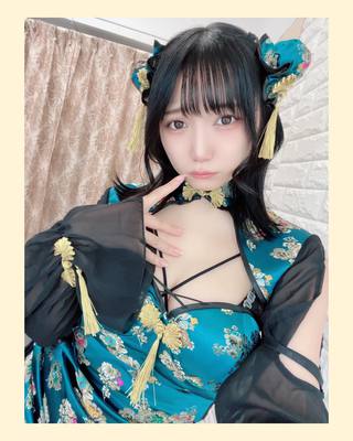 佩罗猫 图片348
