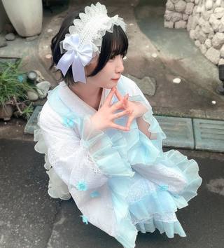 佩罗猫 图片352