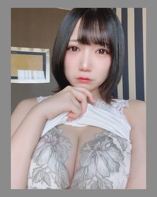 佩罗猫 图片360