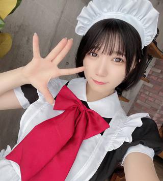 佩羅貓 圖片554
