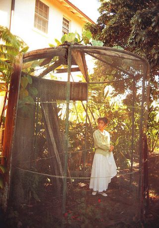 酒井法子 画像249