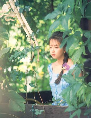 高橋由美子 圖片98