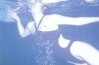 高橋由美子 圖片193