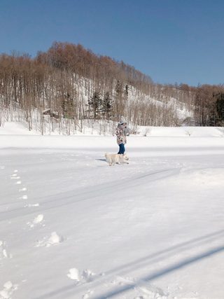 田村保乃 圖片288