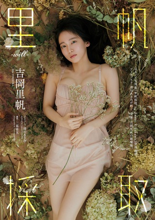 吉岡里帆 画像15